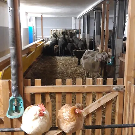 アパート Stadtbauernhof - - Gut Unterleithen - Farm & The ザルツブルク