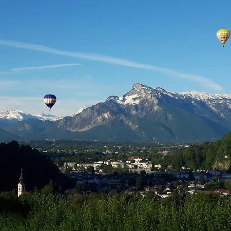 Stadtbauernhof - - Gut Unterleithen - Farm & The Apartment