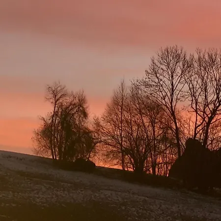 Stadtbauernhof - - Gut Unterleithen - Farm & The Salzburg
