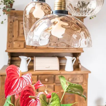 Stadtbauernhof - - Gut Unterleithen Appartement Salzburg