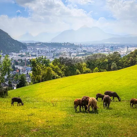 شقة Stadtbauernhof - - Gut Unterleithen - Farm & The *