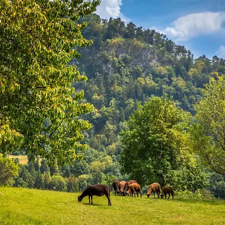 Stadtbauernhof - - Gut Unterleithen - Farm & The